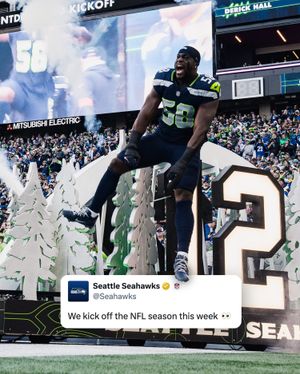 Image post by @seahawks on Instagram