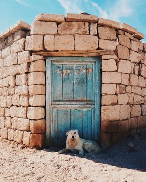 Image post by @mauriciothomsen on Instagram