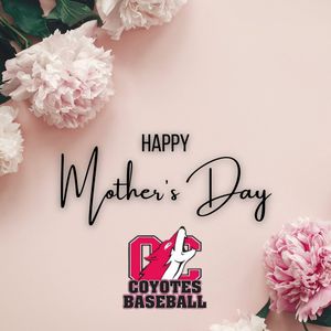 Image post by @YotesBaseball on Twitter