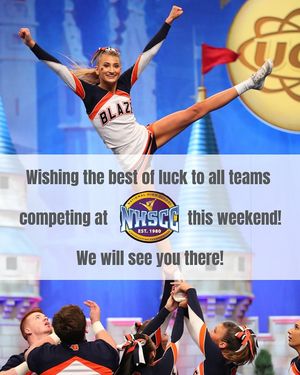 Image post by @vol_cheer on Instagram