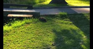 Video post by @TerpsWGolf on Facebook