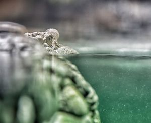 Image post by @jc_burke on Instagram