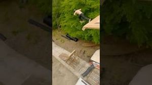 Video post by @nitrocircus on YouTube