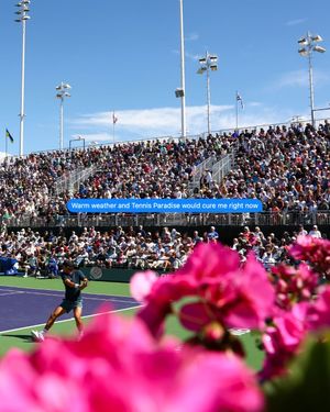 Image post by @bnpparibasopen on Instagram