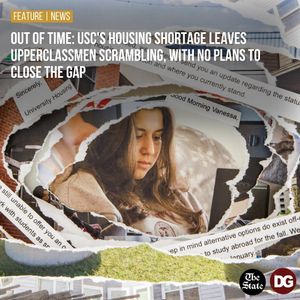 Image post by @dailygamecock on Instagram