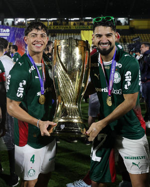 Image post by @palmeiras on Instagram
