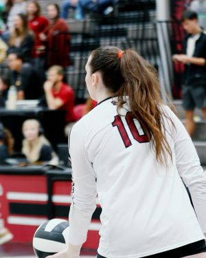 Image post by @gamecockvb on Instagram