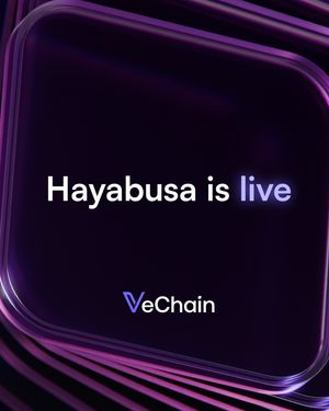 Image post by @vechainofficial_ on Instagram