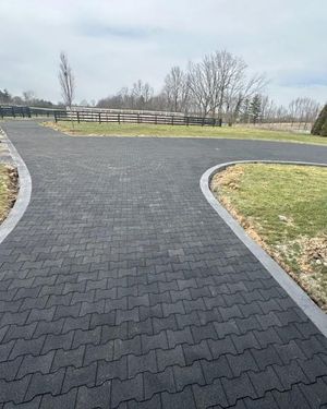 Image post by @dandyproducts on Instagram