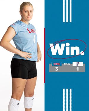 Image post by @lmulionswvb on Instagram