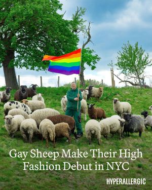 Image post by @hyperallergic on Instagram