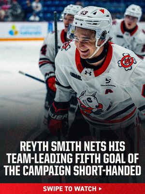 Image post by @ohlicedogs on Instagram