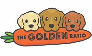 Image post by @thegoldenratio4 on Instagram