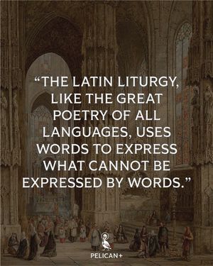 Image post by @pelicancatholic on Instagram