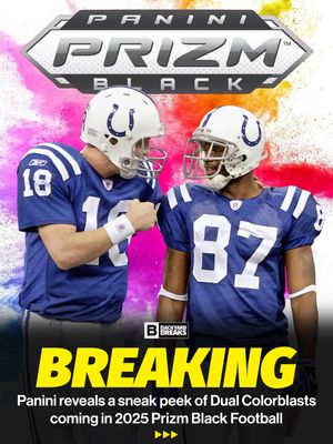 Image post by @backyardbreaks on Instagram