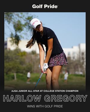 Image post by @ajgagolf on Instagram