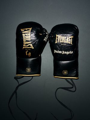 Image post by @everlast on Instagram