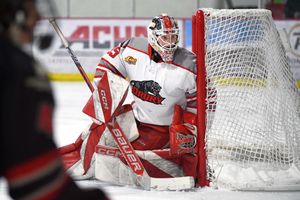 Image post by @shanna_staffordphotography on Instagram