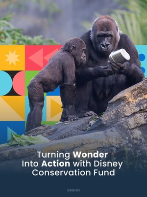 Image post by @disneycareers on Instagram