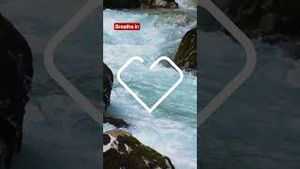 Video post by @cvs on YouTube