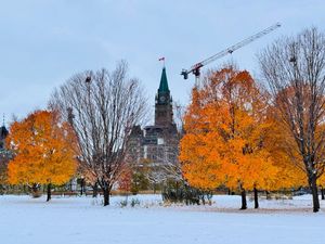Image post by @ottawaisnotboring on Instagram