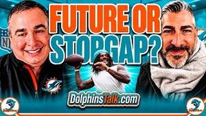 Video post by @dolphinstalk on YouTube