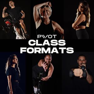 Image post by @pivotsouthbay on Instagram