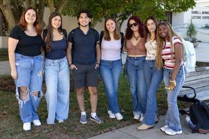 Image post by @hofstrau on Instagram
