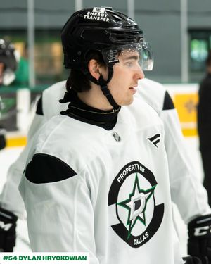 Image post by @dallasstars on Instagram