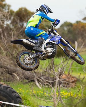 Image post by @yamahamotoraus on Instagram