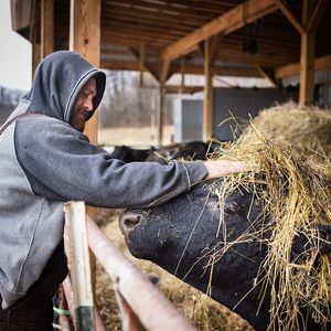 Image post by @freedomfarmkings on Instagram