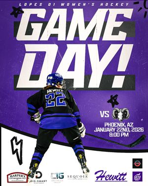 Image post by @lopeswhockey on Instagram