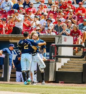 Image post by @witimberrattlers on Instagram