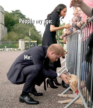 Image post by @9gag on Instagram