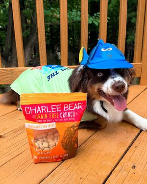 Image post by @charlee_bear_dogtreats on Instagram