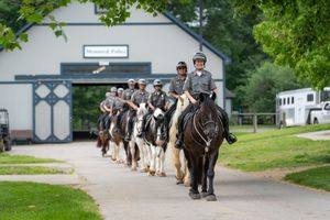 Image post by @kyhorsepark on Instagram