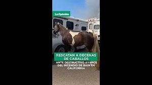 Video post by @laopinionla on YouTube