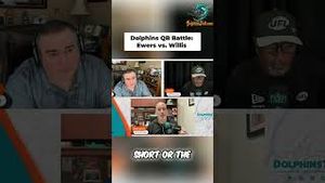 Video post by @dolphinstalk on YouTube