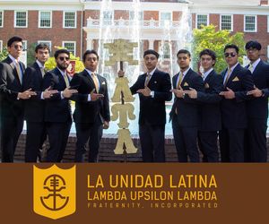Image post by @lul_elon on Instagram
