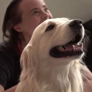 Image post by @mikethewhitegolden on Instagram