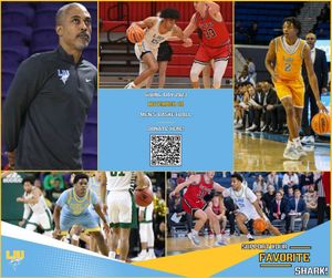Image post by @liubasketball on Instagram