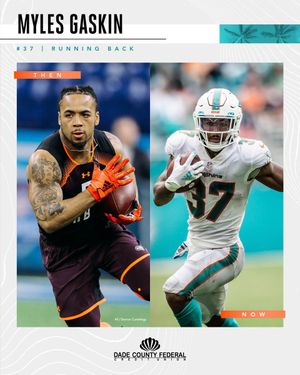 Image post by @MiamiDolphins on Twitter