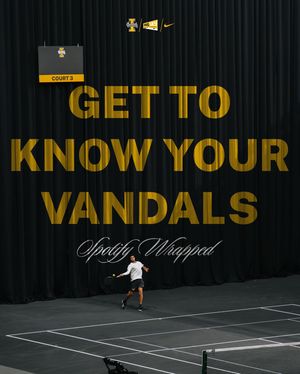 Image post by @vandalmtennis on Instagram