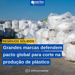 Image post by @operitoambiental on Instagram