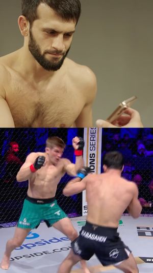Image post by @pflmma on Instagram