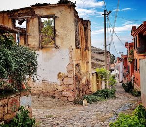 Image post by @serhanerkek on Instagram