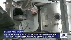 Video post by @abcnewslive on TikTok
