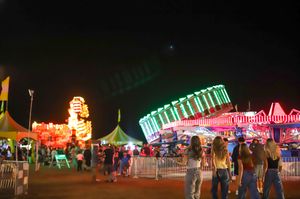 Image post by @larimercountyfair on Instagram