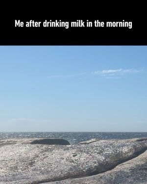 Image post by @9gag on Instagram
