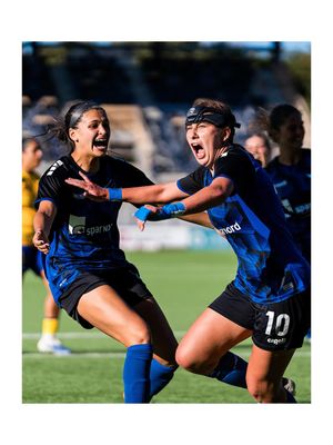 Image post by @friemancreative on Instagram